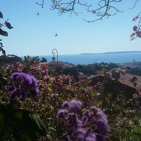 Lejlighed 4 Pers Coeur Du Lavandou 5mn A Pied Des Plages *
