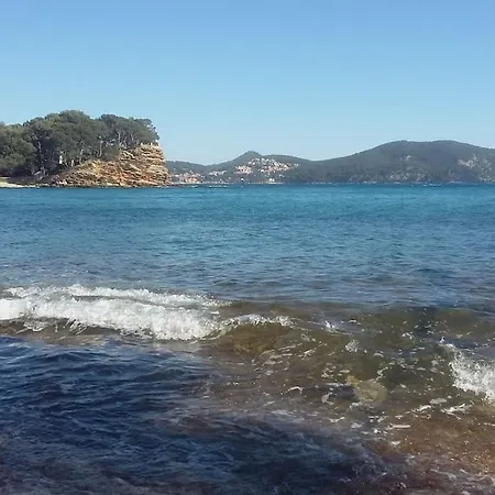 Lejlighed 4 Pers Coeur Du Lavandou 5mn A Pied Des Plages